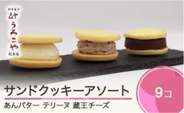 【ふるさと納税】お菓子 スイーツ 洋菓子 サンドクッキーアソート 3種 ( あんバター 、 テリーヌ 、 蔵王チーズ  各1個入)×3箱 計9個 us