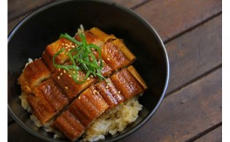 【ふるさと納税】あなご2種（蒲焼あなご・煮あなご）セット 魚介類 魚 穴子 蒲焼き 煮穴子 セット 食べ比べ 【1756】