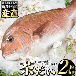 【ふるさと納税】茶鯛 1尾 (約2kg)【ウスイ】usui-1034