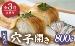 【ふるさと納税】【全3回定期便】対馬 穴子 開き 800g《対馬市》【海風商事】アナゴ 国産 九州 長崎 [WAD029]