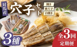 【ふるさと納税】【全3回定期便】対馬 穴子 セット 500g《対馬市》【海風商事】国産 九州 長崎 煮穴子 白焼き [WAD038]