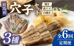 【ふるさと納税】【全6回定期便】対馬 穴子 セット 500g《対馬市》【海風商事】国産 九州 長崎 煮穴子 白焼き [WAD039]