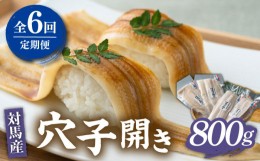 【ふるさと納税】【全6回定期便】対馬 穴子 開き 800g《対馬市》【海風商事】アナゴ 国産 九州 長崎 [WAD045]