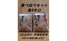 【ふるさと納税】【令和5年度産】旭町産コシヒカリ・きぬむすめ 食べ比べセット 各5キロ 米 お米 こしひかり きぬむすめ 食べ比べ セット