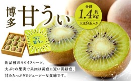 【ふるさと納税】【2024年11月上旬より順次発送】福岡県産 博多甘うぃ 約1.4kg (大玉9玉入り) 