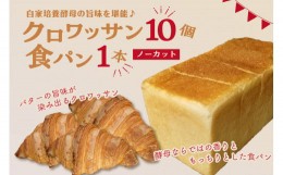 【ふるさと納税】自家培養酵母の旨味を堪能♪クロワッサン１０個＋食パン１本（ノーカット）自家培養酵母 クロワッサン 酵母クロワッサン