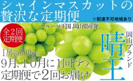 【ふるさと納税】ぶどう 2024年 先行予約 9月・10月発送 シャイン マスカット 晴王 1房 約600g ブドウ 葡萄  岡山県産 国産 フルーツ 果