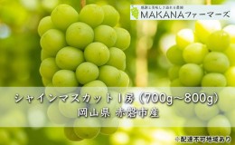 【ふるさと納税】ぶどう 2024年 先行予約 シャイン マスカット 1房 700g〜800g 大粒 種無し ブドウ 葡萄  岡山県 赤磐市産  国産 フルー