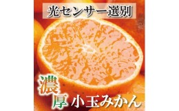 【ふるさと納税】＜11月より発送＞家庭用 小玉な有田みかん4.5kg+135g（傷み補償分）訳あり