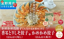 【ふるさと納税】かめかめ島餃子の【人気の売れ筋セット】餃子60個+シークワーサーぽん酢