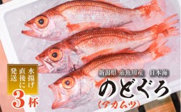 【ふるさと納税】【2024年先行予約】天然のどくろ (アカムツ) 3尾 約1kg 鮮度抜群！水揚げ直後に発送 高級魚 生 刺身 煮付け 下処理可能 