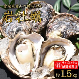 【ふるさと納税】規格外 岩牡蠣 約1.5kg 滅菌処理済 不揃い サイズミックス 国産 養殖 かき 殻付き 焼き牡蠣 蒸し牡蠣 カキフライ 肉厚 