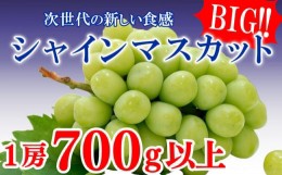 【ふるさと納税】大房シャインマスカット 1房 700g 【シャインマスカット ぶどう ブドウ 大粒 種なし さぬき市産 国産 フルーツ 果物】