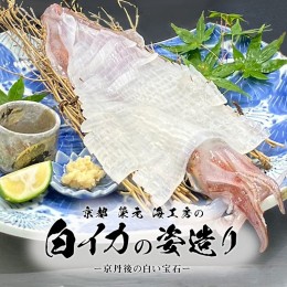 【ふるさと納税】【先行予約】京都　榮元　海工房の白イカの姿造り 