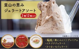 【ふるさと納税】里山の恵みジェラートアソート3種12個入り[?5616-1234]