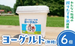 【ふるさと納税】ヨーグルト500ｇ（プレーン）6個セット【無糖 ネッカ牛乳 ノンホモ製法】