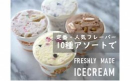 【ふるさと納税】湘南茅ヶ崎の人気店 プレンティーズのアイスクリーム（バラエティセット５種10個）【のし有】