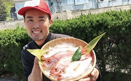 【ふるさと納税】幻の高級魚「のどぐろ（鮮魚）」魚介 のどぐろ 鮮魚 高級魚 ふるさと納税 のどくろ 魚 のどぐろ 旬 期間限定 鮮魚 のど