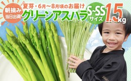 【ふるさと納税】数量限定 アスパラ S〜SS サイズ 1.5kg 朝採り 直送 夏芽 グリーンアスパラガス 朝採れ 先行予約 【2024年6月から8月お