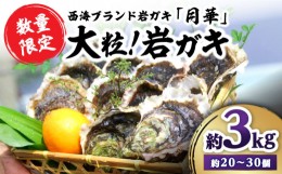 【ふるさと納税】牡蠣 岩ガキ 約3kg（約20個〜30個） 牡蠣 カキ かき 生牡蠣 岩牡蠣 ナイフ付き 殻付き牡蠣 かき カキ ＜ハマフジ水産＞ 