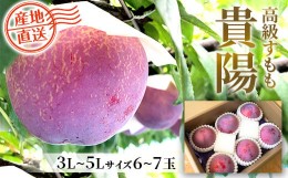 【ふるさと納税】【先行予約】【2024年発送】貴陽（3L−5L）6-7玉　すもも プラム 山梨 フルーツ 産地直送 富士川町