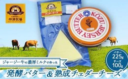 【ふるさと納税】ジャージー牛の濃厚ミルクで作った発酵バター1つと熟成チェダーチーズ100gセット F21K-304