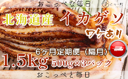 【ふるさと納税】【ワケあり】北海道産　イカゲソ1.5kg　隔月 6ヶ月定期便