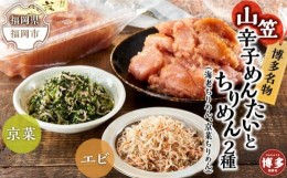 【ふるさと納税】博多名物山笠めんたいとちりめん2種(海老ちりめん、京菜ちりめん）