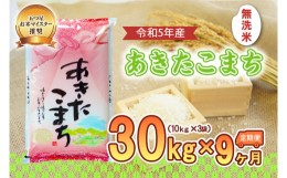 【ふるさと納税】【9か月定期便】盛岡市産あきたこまち【無洗米】30kg×9か月