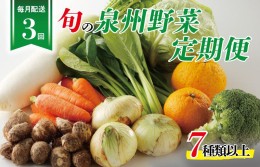 【ふるさと納税】泉州野菜 定期便 全3回 7種類以上 詰め合わせ 国産 新鮮 冷蔵【毎月配送コース】 099Z111