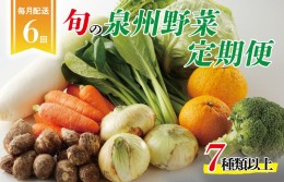 【ふるさと納税】泉州野菜 定期便 全6回 7種類以上 詰め合わせ 国産 新鮮 冷蔵【毎月配送コース】 099Z113