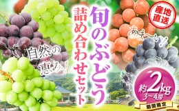 【ふるさと納税】3.【先行予約】 産地直送 旬のぶどう詰め合わせセット 1箱 約2kg 3〜4房 水車の里フルーツトピア 期間限定 岡山県 矢掛