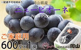 【ふるさと納税】ぶどう 2024年 先行予約 ご家庭用 ニュー ピオーネ 約600g×1房 ブドウ 葡萄  岡山県産 国産 フルーツ 果物[No.5220-147