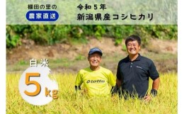 【ふるさと納税】布施農場の棚田コシ「あさひかがやく」白米５kg