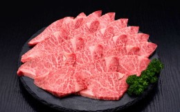 【ふるさと納税】【訳あり】 博多和牛ヒレ焼肉 約600g×1パック 福岡県産 国産 牛肉 お肉 焼肉 BBQ