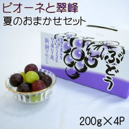 【ふるさと納税】【数量限定】ピオーネと翠峰の夏のおまかせセット約200g×4パック ※着日指定不可 ※配送不可地域あり ※2024年9月上旬