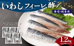 【ふるさと納税】いわし フィーレ酢 〆寿司・刺身用 約1.2kg (15g×20枚×4パック) 鰯 イワシ