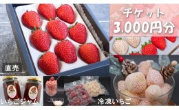 【ふるさと納税】シエルファーム いちごチケット 3000円分/ 苺 いちご