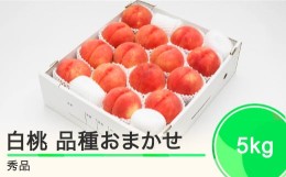 【ふるさと納税】もも 白桃 秀品 品種おまかせ 5kg 化粧箱入りフルーツ 果物 令和6年産 2024年産 山形県産 ns-mohtx5