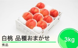 【ふるさと納税】もも 白桃 秀品 品種おまかせ 3kg  化粧箱入りフルーツ 果物 令和6年産 2024年産 山形県産 ns-mohtx3