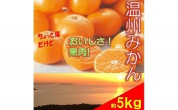 【ふるさと納税】訳あり 温州みかん 5kg ご家庭用 人気 数量限定 先行予約 愛媛 みかん 柑橘  【2024年11月以降順次発送】｜B149