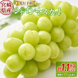 【ふるさと納税】先行予約 シャインマスカット 2房 合計1kg+100g（補償付）宮崎県産【B606-24】