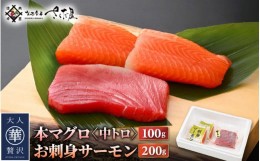 【ふるさと納税】お刺身 セット サーモン 100g × 2P ＆ 本まぐろ 中トロ 100g ×1P【福井県 冷凍 小分け 刺身 アトランティックサーモン