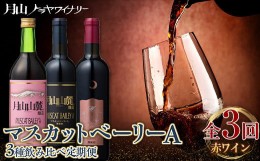 【ふるさと納税】FYN9-775 【月山トラヤワイナリー】 マスカットベーリーA 赤ワイン 3種 飲み比べ 定期便 3回 辛口 山形 西川町 酒