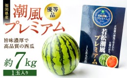 【ふるさと納税】【2024年7月中旬より順次発送】福岡県 北九州市若松産 【優等品】 潮風プレミアム 西瓜 約7kg (1玉入り)