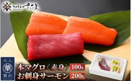 【ふるさと納税】お刺身 セット サーモン 100g × 2P ＆ 本まぐろ 赤身 100g × 1P 【福井県 冷凍 小分け 刺身 アトランティックサーモン