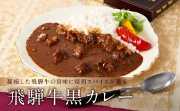 【ふるさと納税】喜八郎謹製・飛騨牛黒カレー 山一商事 EN001