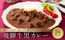 【ふるさと納税】喜八郎謹製・飛騨牛黒カレー3箱セット 山一商事 EN002