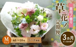 【ふるさと納税】【定期便 3ヶ月】草花ノ定期便 Mサイズ 5〜8種類 約8〜10本