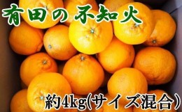 【ふるさと納税】【濃厚】有田産不知火約4kg（M〜3Lサイズ混合）★2025年2月上旬頃より順次発送【TM40】